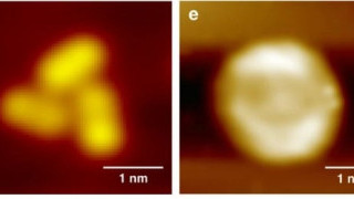 Robust 2nm Molecular Propeller Enables Unidirectional Rotation