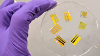 Scientists Work to Develop a Light-emitting Tattooable Technology