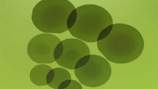 SDK to Expand Capacity for High-Grade SiC Epitaxial Wafers