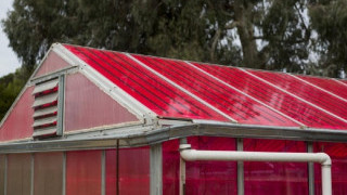 Solar Greenhouses Generate Electricity and Grow Crops Better