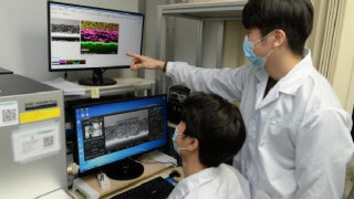 South Korean Researchers Look to Develop a New Electrode Structure for Solid-State Batteries