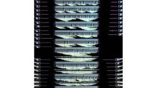 The Future of ‘Extremely’ Energy-Efficient Circuits
