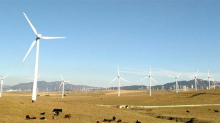 Watching the Wind: AI Finds Faults Faster