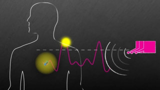 Wireless System can Power Multiple Devices Inside the Body