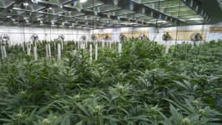 Kontrol Energy to Supply Integrated Energy Solutions to Cannabis Growers