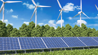 Nature-Influenced Power Grid Designs