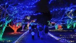 Holiday Lights Are for Celebration—and for Shining Light on Energy Inequality