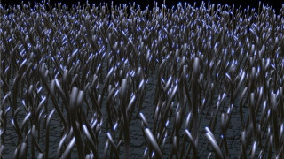 Researchers Investigate the Power of Nanowires in Fuel Cells