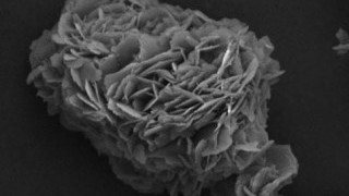 Microwaves can Quickly Turn Soda Bottles into Battery Anodes