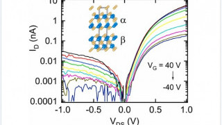 van der Waals Schottky Diode for Thermal Energy Harvesting