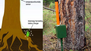 Perimeter Solutions Partners with Voltree Power on Wildfire Prevention
