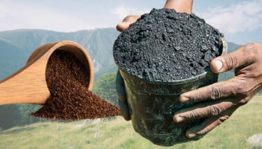 An Energy Drink? Turning Coffee Waste into Sustainable Fuel