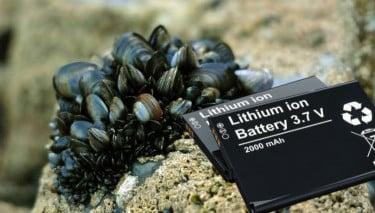 Sticky Solution: Mussels Inspire Lithium-Metal Battery Electrolyte