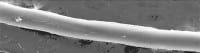 Nanocomp Tech Manufactures Ready-to-Use Carbon Nanotube Textile, Sets Stage for Commercial Production