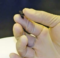 Rensselaer Claims Development Of Paper Thin Energy Storage Device