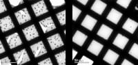 IMEC Reports Method To Extend Lifetime Of Organic Solar Cells