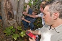 University of Washington Researchers Develop Electrical Circuit That Runs Off Of Tree Power