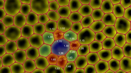 Monolayer Amorphous Carbon Film Could Find Use in Batteries, Semiconductors, and More