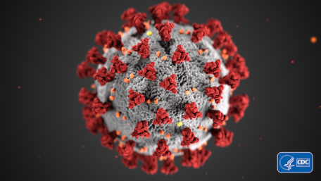 Coronavirus’ Effects on the Global Power Electronics Industry 
