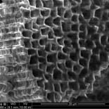 Rice University, Lockheed Martin Researchers Extract Multiple Anodes from a Single Wafer for Lithium-ion Batteries