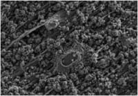IQLP Opens Materials Innovation Lab Focused on Energy Storage and Electronics