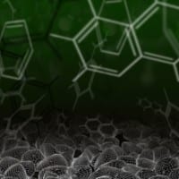 EnerG2 Claims Breakthrough in Li-Ion Capacity, Cost, and Performance