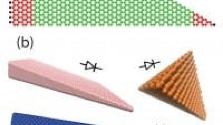 Thermal Rectifiers could Control Heat Flow in Electronic Systems