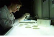 SiC Wafer Grading Structure proposed by Dow Corning