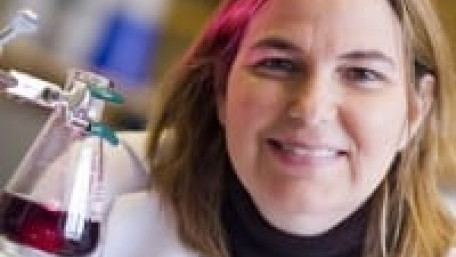Making Solar Cells from Used Car Batteries