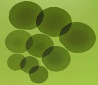 SDK Increases 6-inch SiC Epi-Wafer Capacity for Power Devices