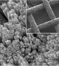Solar Energy Conversion and Storage in One Device
