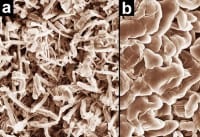 Dendrite Eraser: New Electrolyte rids Batteries of Short-Circuiting Fibers