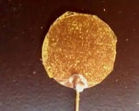 Nanostructure Electrodes for Supercapacitors
