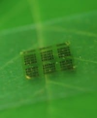 Wood Chips make Computer Chips for Portable Electronics