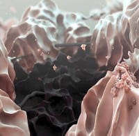 Lithium-Oxygen Battery Demonstrated in Cambridge