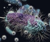 Li-ion Catalyst Found to Harm Key Soil Microorganism