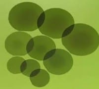 $13.5M for Large-Diameter SiC Substrates for SiC and GaN Devices