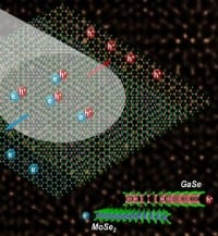 ‘Odd Couple’ Monolayer Semis may Advance Optoelectronics