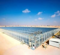 Using Solar Energy to Recover Oil