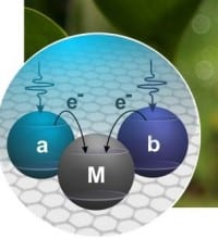 Physics, Photosynthesis and Solar Cells