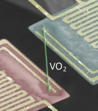 For This Metal, Electricity Flows, But Not the Heat
