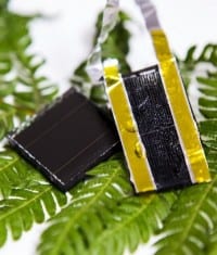 Bio-Inspired Energy Storage for Solar Power