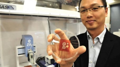 Sustainable Wood-Derived 3D Printed Electronics from Canadian/Swiss Collaboration