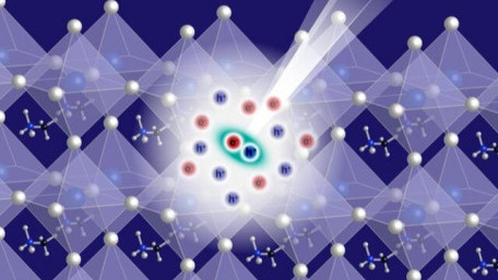 New Quasiparticle Unveiled in Room Temperature Lead Halide Perovskites