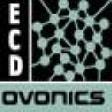 ECD Promotes Strand to Information Technology VP