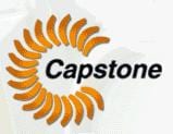 Capstone Names Emily Liggett Interim COO
