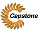 Capstone Turbine Announces Results for 2002