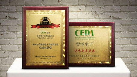 Top Member Award at CEDA Summit in China