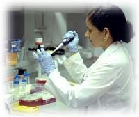 St. Louis University Develops Enzyme Battery