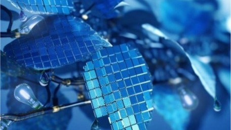 Hybrid PV Leaf Design Beats the Efficiency of Conventional Solar Panels